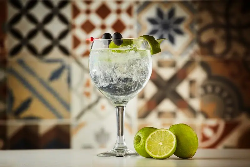Gin-tonic en copa balón con hielo, lima y bayas sobre fondo de azulejos