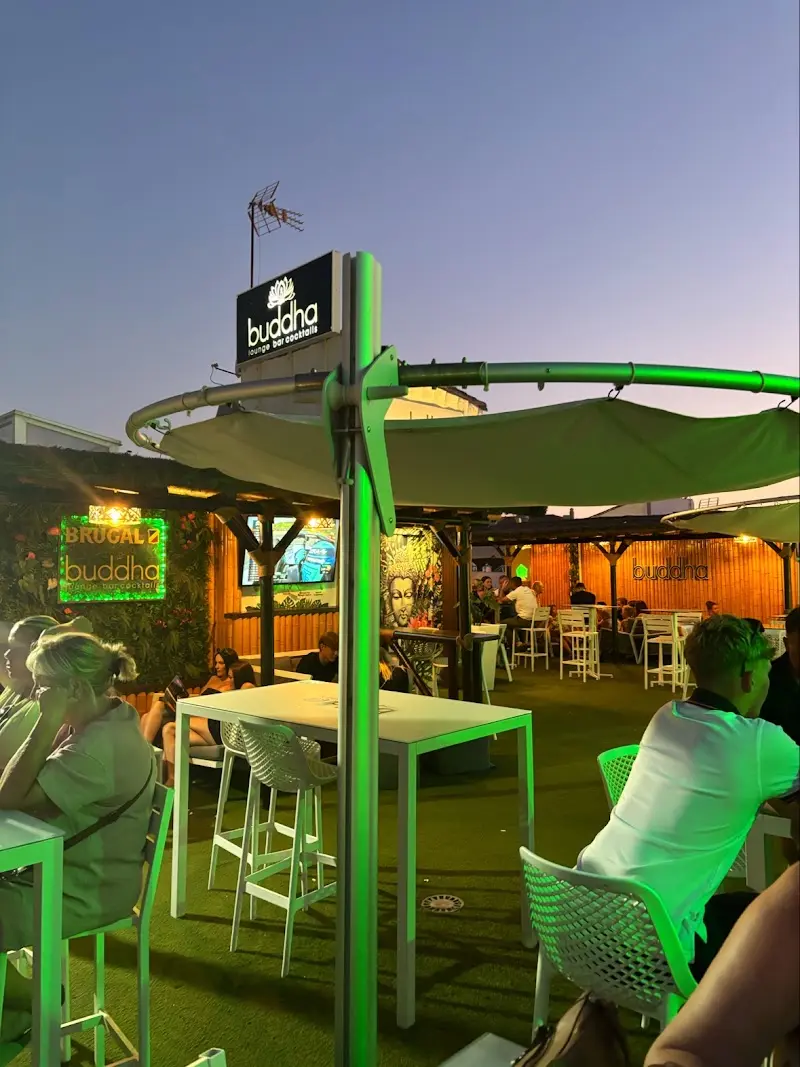 Terraza de Buddha iluminada con luces verdes al anochecer, con clientes en mesas altas