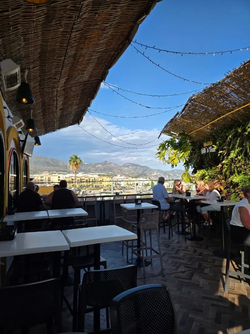 Terraza de día con mesas altas, toldo de cañizo y vistas a la sierra y una palmera