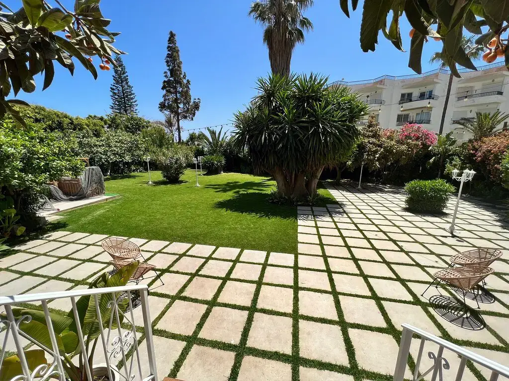 Bares y tapas en Nerja — imagen 6