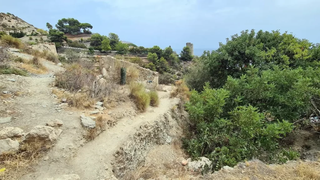 Bajada a la cala de la Torre del Pino entre antiguos bancales